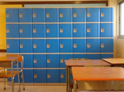 Safety Plastic Gym Lockers Blue Door Locker Room Lockers With Cam Lock