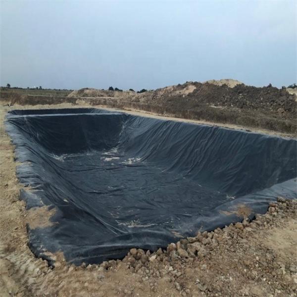 Smooth Face LDPE HDPE Geomembrane Sheet for Fish Farm Shrimp Pond Liner 4-9m Width