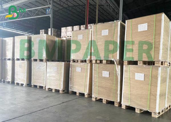 Bom papel de embalagem de absorção de água 70gsm Brown para o verde Houese do refrigerador de ar
