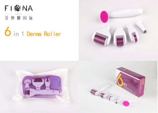 Trade Assurance 0.5mm for clinical use 6 in 1 kit derma rollers acne scars healing wounds eye puffiness removal CE