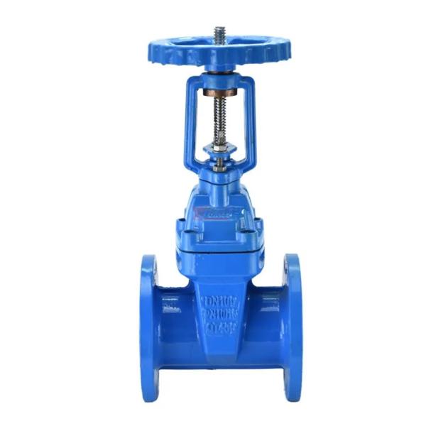 PN10 Ductile Iron Body 100mm Handwheel Soft Seal Rising Stem Elastic Gate Valve