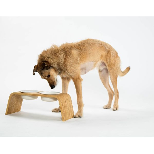 OEM ODM Personalized Pet Bowls Ceramic Elevated Dog Bowls Eco Friendly