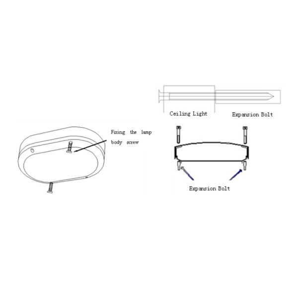 Wall Mounted Oval IP65 White Bulkhead Outdoor Light 10w 800 Lumen High Brightness