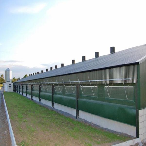 Edificio de estructura de estructura de acero ligero de gallinero ventilado totalmente automatizado