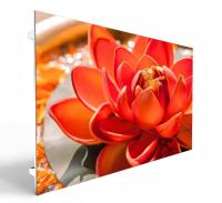 Affichage LED HD étanche, COB Écran LED à petite hauteur de pixel P1.2