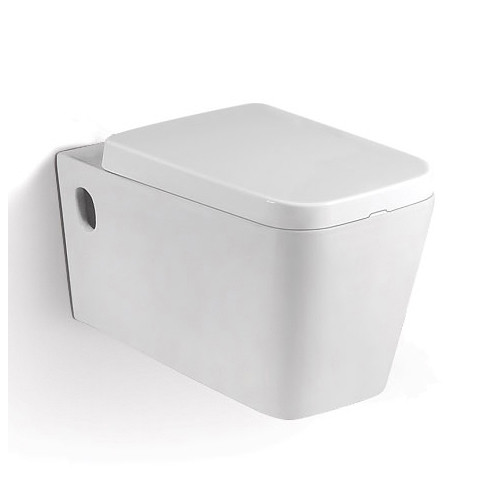 Cabinet d'aisance en céramique sans monture compact de Hung Toilet With Soft