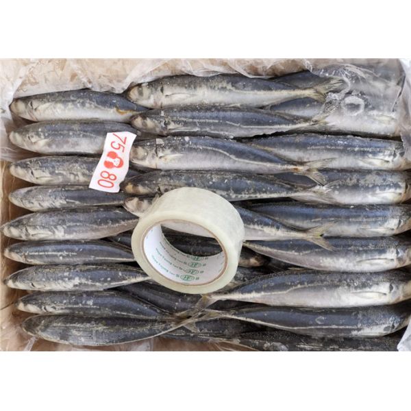 небольшая лошадь глаза 1kg - скумбрия ссыпает свежая замороженная удя приманка