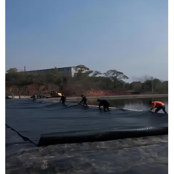 0.3mm-0.8mm Толщина HDPE Геомембрана Рыбный пруд линейка для лотосных прудов лотоса корневых прудов