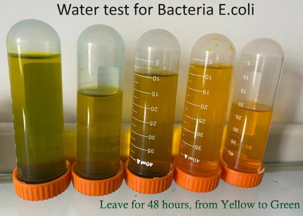100 Strips PLA Bacteria Test Kit ,  PET E Coli Test Strips