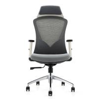 8 horas sincrónicas de oficina Mesh Chairs With Lumbar Support de 115KG