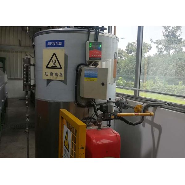 300kg/H Cheap Vertical Industrial Gas Oil Steam Boiler For Garment Steam Iron