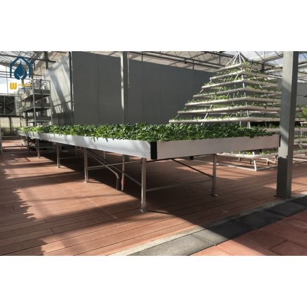 Plastic Hydroponic Ebb And Flow Table UV Protective Hydroponics Flood Table