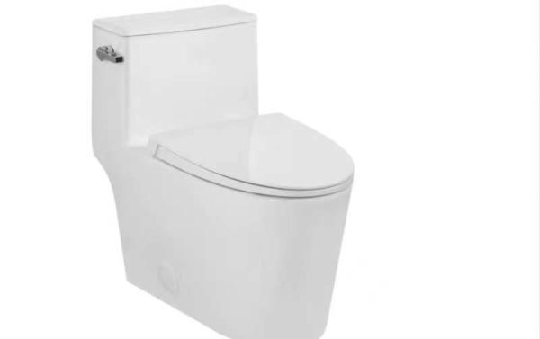 Modern Elongated WC Sanitary Ware Toilet Dual Flush 690X370X760mm