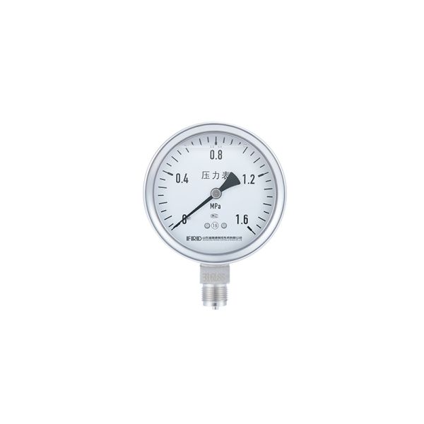 FRD FD80Y Stainless Steel Industrial Pressure Gauge – IP63 Rated