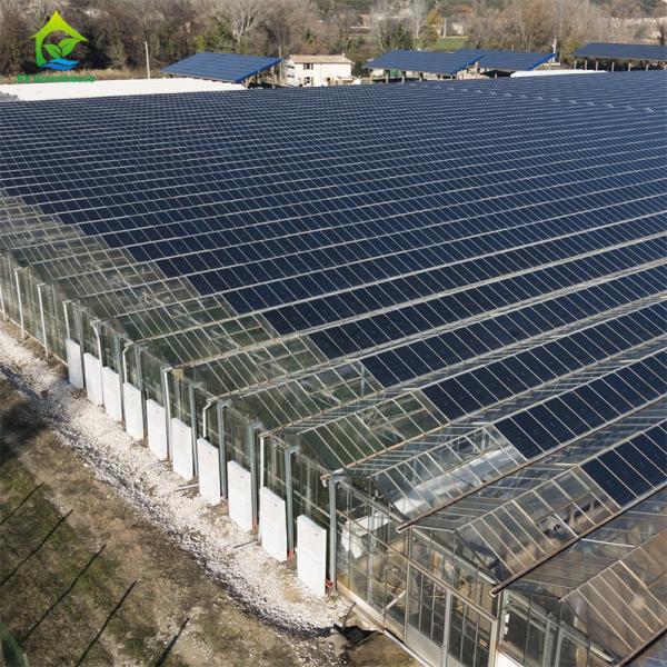 Modern intelligent Venlo polycarbonate panel multi-span solar photovoltaic greenhouse