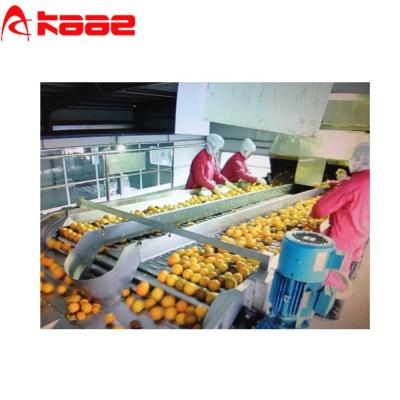 750W Automatic Fruit Sorting Machine 304 Roller Elevator Transportation Machine Heavy Duty Conveyor Rollers