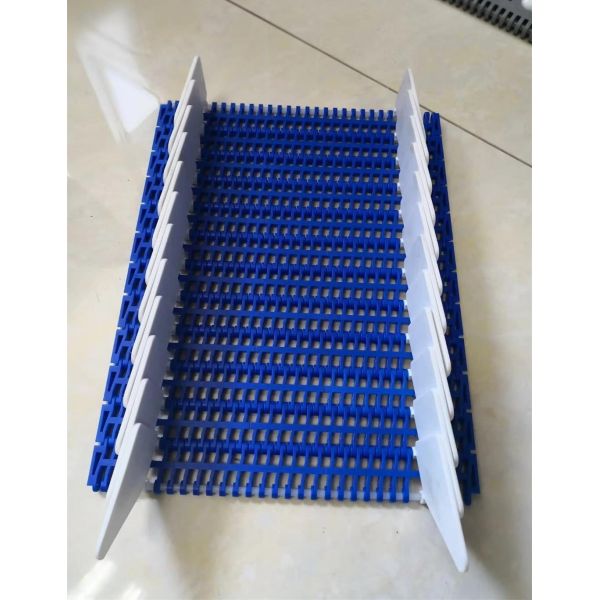                  Pitch 25.4mm 1000 Plastic Modular Conveyor Belt for Transporting             