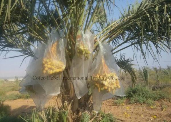 Black White Jujube Date Collecting Net Bag Anti UV HDPE Plastic Mesh Bag