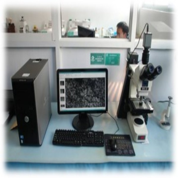 YueFeng Aluminium Technology Co., Ltd