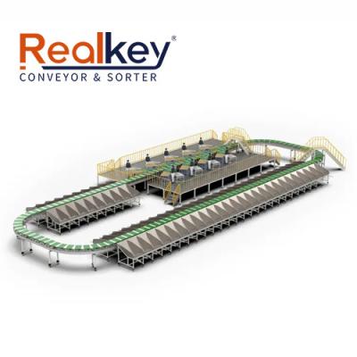 Reliable High Capacity Automatic Conveyor System Conveyor Belt Sorting System
