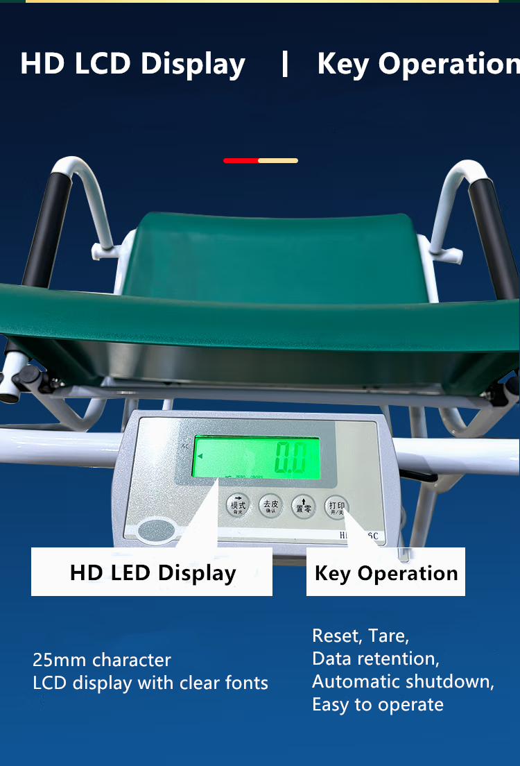 Тело больницы медицинское веся масштаб стула кресло-коляскы