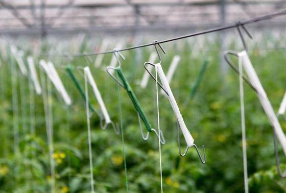 UV Resistant Polypropylene Twine with High Tensile Strength and Lightweight for Agricultural and Packaging Use