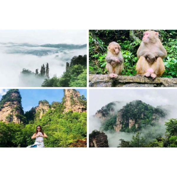 zhangjiajie travel/3 Days 2 Nights Zhangjiajie Group Tour | Zhangjiajie National Forest Park, Avatar Filming Location, Yuanjiajie, Tianzi Mountain, Yangjiajie, Golden Whip Stream, Ten-Mile Gallery