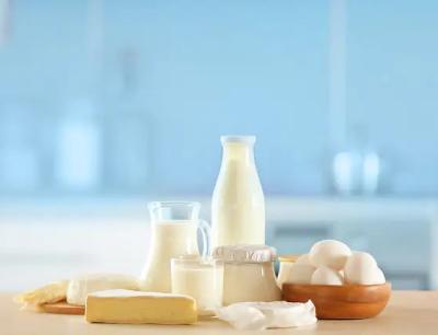 A água refrigerou a linha de processamento pequena escala do leite pasteurizado 500L