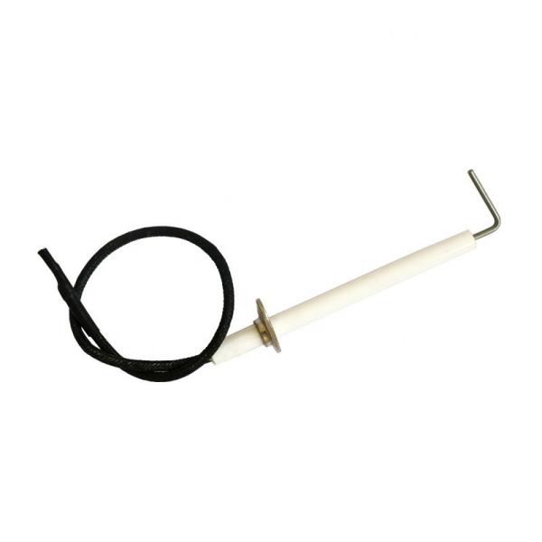                  Sinopts Electrode Spark Plug Ceramic Igniter Generator for Gas Stove             