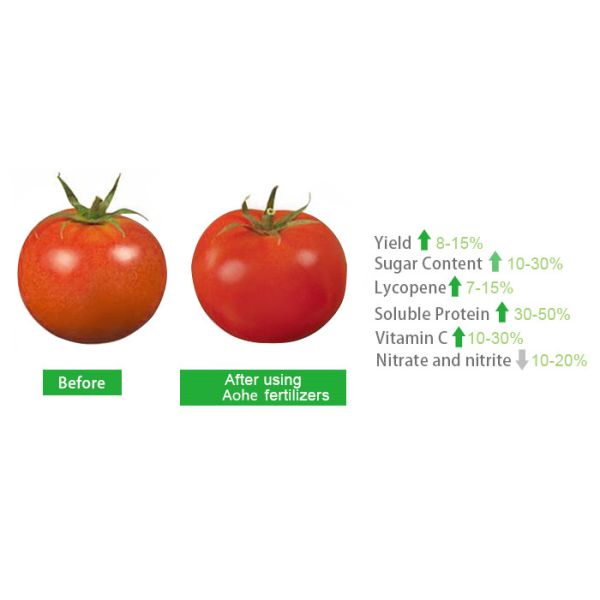 40% amino mais o extrato Foliar da planta do adubo estimulam o crescimento da raiz