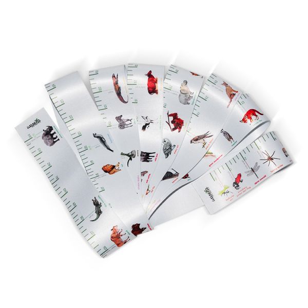 Слитка с дополнительной длиной Красочная печать изображений Поверхность Ткань Текстура Найлоновая ткань Измерительная лента