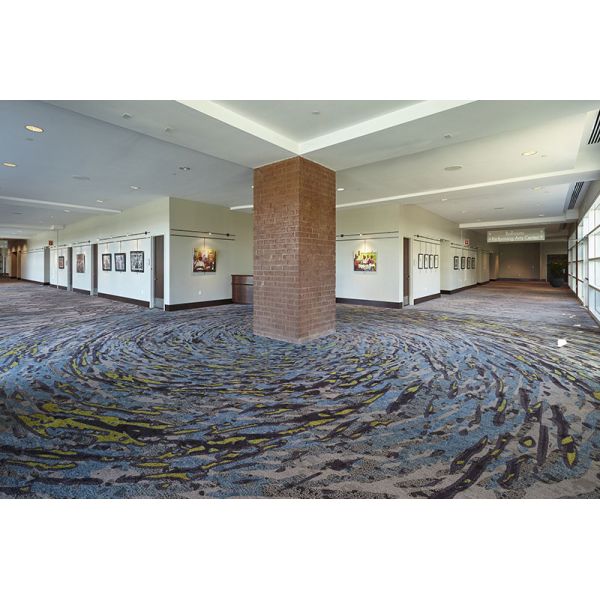 Custom Nylon Printed Blank Carpet for Hotels Bedrooms Hallways Cars and Banquet Halls