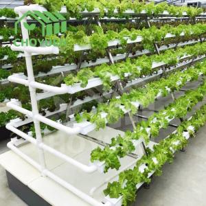 Intelligent Hydroponic Passive Solar Greenhouse Kits Greenhouse Bench System