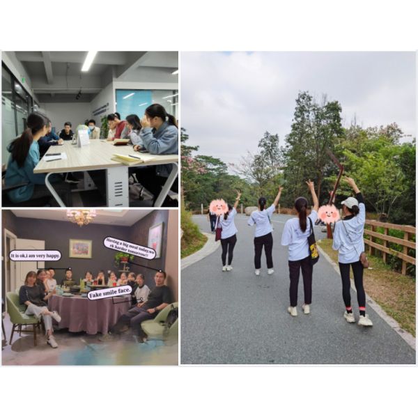 Qingdao To Sydney Oceania Shipping , Sea Shipping From China To Sydney