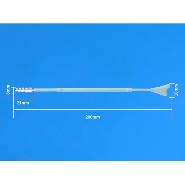 PP Material Nylon Head Medical Cleaning Brush Cervix Brush Sampling Cytology Brush blue green white color