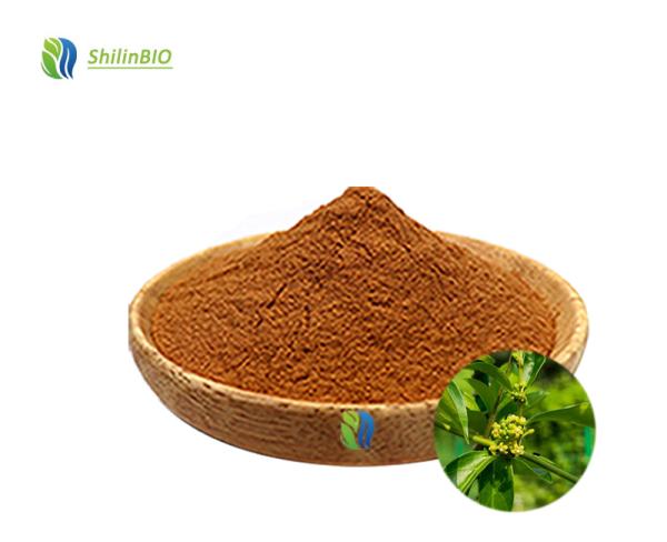 Factory Wholesale Gymnema Sylvestre Leaf Extract 25% 75% Gymnemic Acid Powder