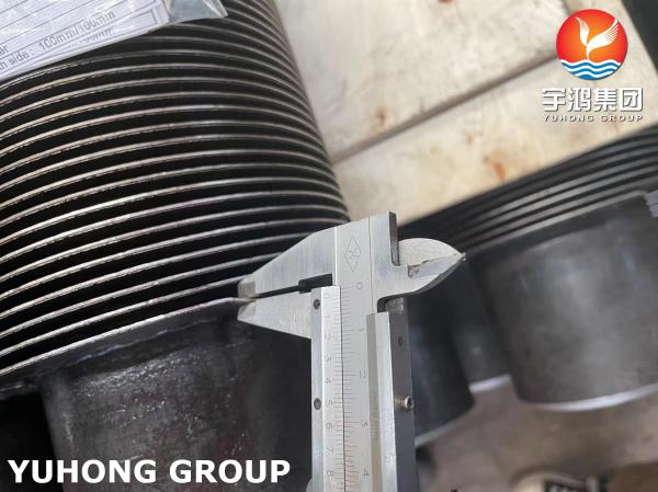 TP304 18Cr-8Ni Finned Pipe 11-13Cr Fins For Fired Heater Convection Section