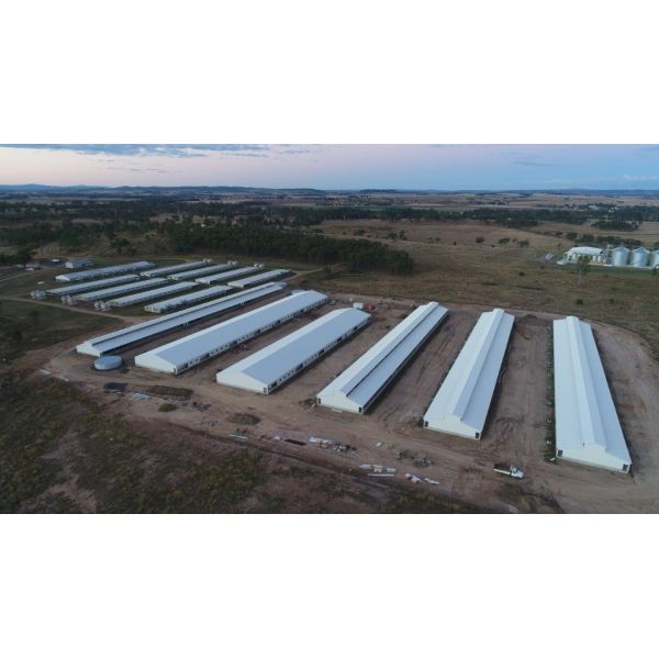 Construcción de un cobertizo de pollo