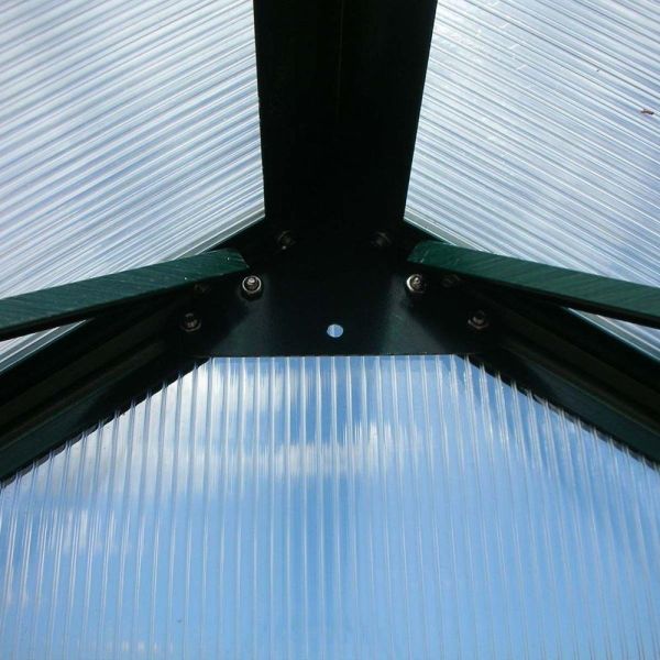 Not Coated Frame Finishing 6ft X 8ft Large Garden Greenhouse for Outdoor Gardening