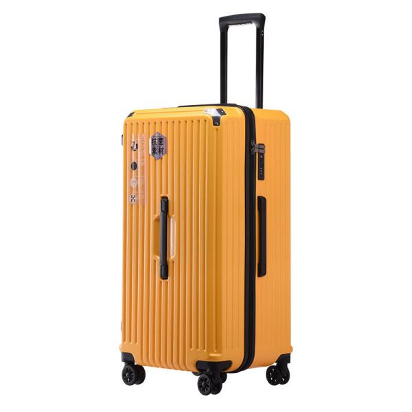 Five wheel large capacity thickened luggage compartment