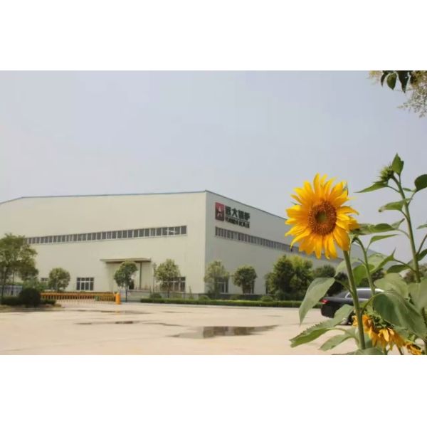 LHS Vertical Coal Fired Steam Boiler High Thermal Efficiency 0.2T - 2t Weight