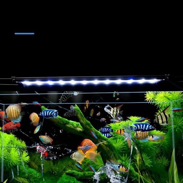 Spectrum Freshwater Aquarium LED Light Coral Marine Landscaping Plant And Fish Colorful