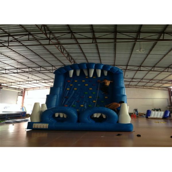 Голубая скала скалолазание скалолазание 6х4м коммерческая надувная лестница