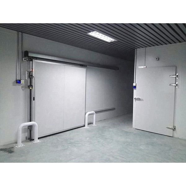 Good Quality Small Cold Storage Room for Fish Meat