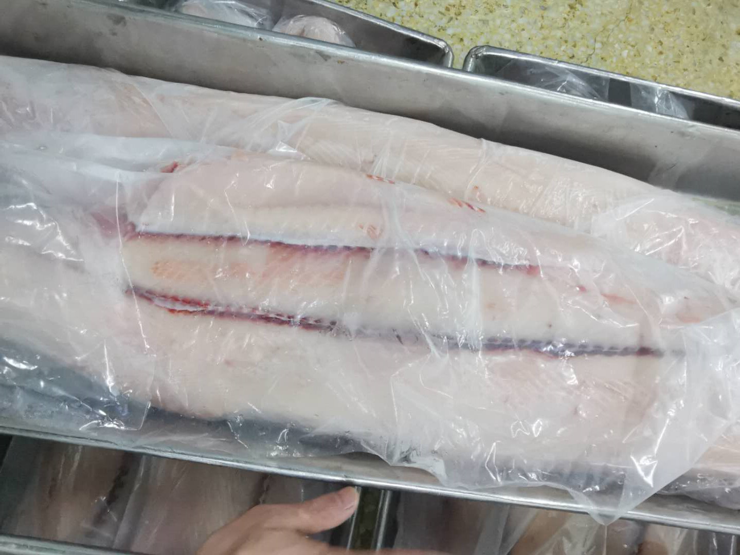 косточка Марлина морепродуктов HGT рыб IQF ветрила 2kg замерзая замороженная