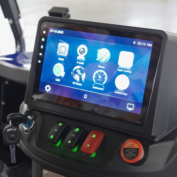 Chinese Factory Golf Carts with Lithium Battery CE Certified