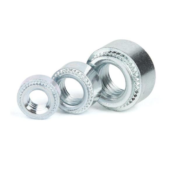 Premium Higher Head Stainless Steel Self Clinching Nut Self Clinch Nut