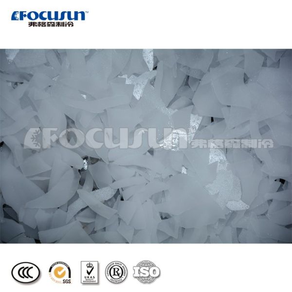 2200*1050*1550 мм Флейковый ледоколь Машина для охлаждения воды для рыболовных судов