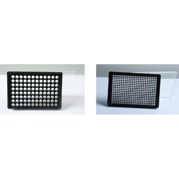 White 0.2ml 96 Well Pcr Plate Non Skirted PCR Plate