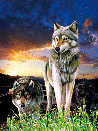 0.6mm PET+157g Coated Paper 3D Lenticular Pictures / 3D Lenticular Wall Art